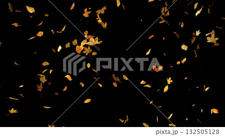 Falling Autumn Leaves. Autumn Texture Isolated on Black 132505128