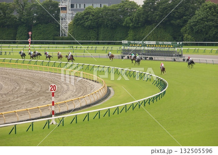 レースを終えて引き上げる馬たち レースを終えて引き上げる馬たち 132505596