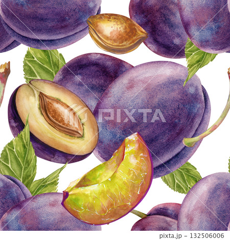 Seamless watercolor pattern with plums, hand-drawn. A botanical template with whole plums, lobules, pits and green leaves. Seamless background with ripe fruits on a white background. For wallpaper Seamless watercolor pattern with plums, hand-drawn. A botanical template with whole plums, lobules, pits and green leaves. Seamless background with ripe fruits on a white background. For wallpaper 132506006