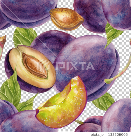 Seamless watercolor pattern with plums, hand-drawn. A botanical template with whole plums, lobules, pits and green leaves. Seamless background with ripe fruits on a white background. For wallpaper Seamless watercolor pattern with plums, hand-drawn. A botanical template with whole plums, lobules, pits and green leaves. Seamless background with ripe fruits on a white background. For wallpaper 132506006