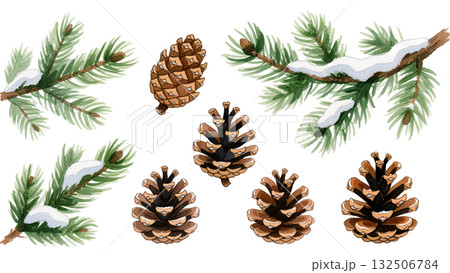 Watercolor set of pine branches with snow and pinecones. Winter botanical illustration elements isolated on white background. Christmas and seasonal clipart. 132506784