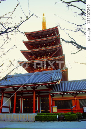 浅草寺の五重塔 浅草寺の五重塔 132507269