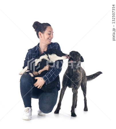 dogs and woman dogs and woman 132507354