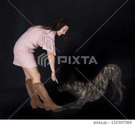 Dutch Shepherd and woman in studio Dutch Shepherd and woman in studio 132507369