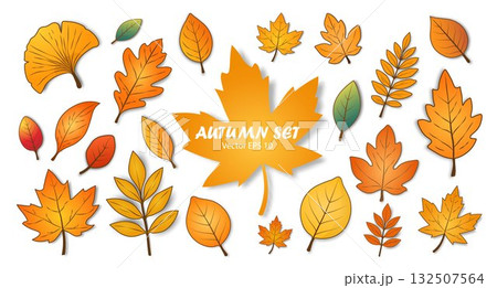 A set of autumn leaves of different shapes and colors on a white background. 132507564