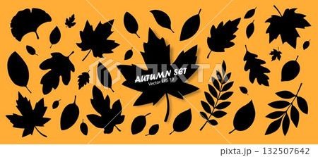 A set of silhouettes of autumn leaves, isolated on an orange background. A set of silhouettes of autumn leaves, isolated on an orange background. 132507642