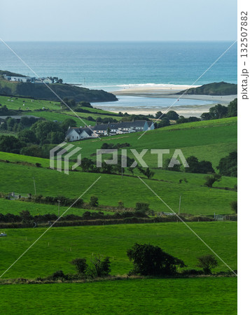 Green fields in West Cork, Ireland. There are several houses in the green landscape. Cattle graze in a field. Green fields in West Cork, Ireland. There are several houses in the green landscape. Cattle graze in a field. 132507882