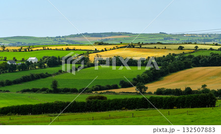 Green and golden fields stretch across the landscape in West Cork, Ireland. Distant hills rise under a clear sky. Lush hedgerows and some buildings dot the scene. Green and golden fields stretch across the landscape in West Cork, Ireland. Distant hills rise under a clear sky. Lush hedgerows and some buildings dot the scene. 132507883