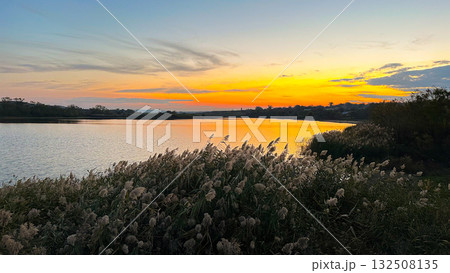 sunset over the lake in the autumn vibe 132508135