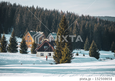 Snow covers the ground at Orle Settlement, where colorful cottages nestle among towering trees. A person walks through the winter landscape, enjoying the serene atmosphere. Snow covers the ground at Orle Settlement, where colorful cottages nestle among towering trees. A person walks through the winter landscape, enjoying the serene atmosphere. 132508658