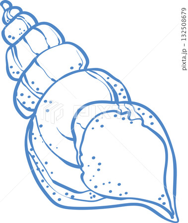 Elegant blue line art illustration of a seashell in minimal style 132508679