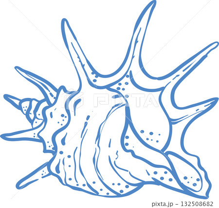 Elegant blue line art illustration of a seashell. Minimalistic marine design with smooth curves and dotted texture. Perfect for beach decor, nautical themes, logos, and summer prints. 132508682