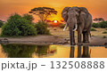Elephant at Sunset by the Waterhole - Ai Generated 132508888