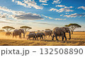 Herd of Elephants in the Savanna at Sunset - Ai Generated 132508890