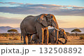 Elephants in a Savannah at Sunset - Ai Generated 132508892
