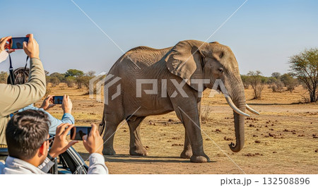 Tourists Photographing an Elephant in the Wild - Ai Generated Tourists Photographing an Elephant in the Wild - Ai Generated 132508896