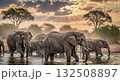Elephants at Sunset in Serene Water - Ai Generated 132508897