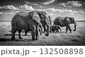 Herd of Elephants in Black and White - Ai Generated 132508898