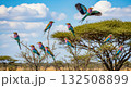 Colorful Birds Perched in Savannah Landscape - Ai Generated 132508899