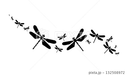 Dragonfly silhouette vector illustration with flying insects in black and white design Dragonfly silhouette vector illustration with flying insects in black and white design 132508972