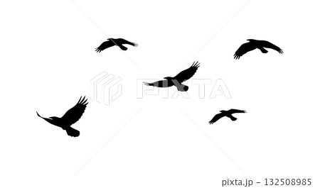 Flying birds silhouette vector in black on white background natural scene 132508985