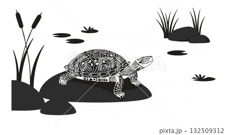 Turtle resting on rock near pond with aquatic plants vector illustration 132509312
