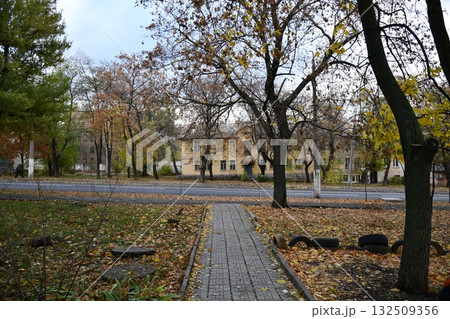 Street dog in india roaming freely in indian village rural city street 132509356