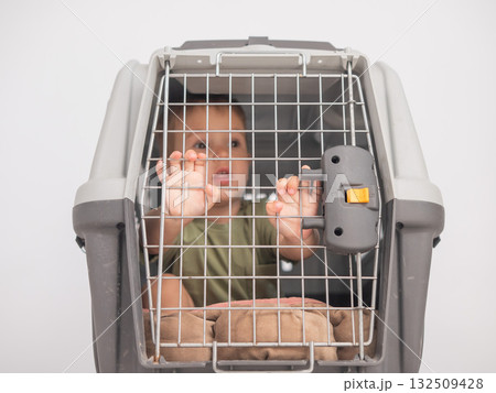 A small child in a closed cage. 132509428