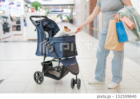 Caucasian woman walks through a shopping center with her Jack Russell Terrier dog in a stroller.  132509640