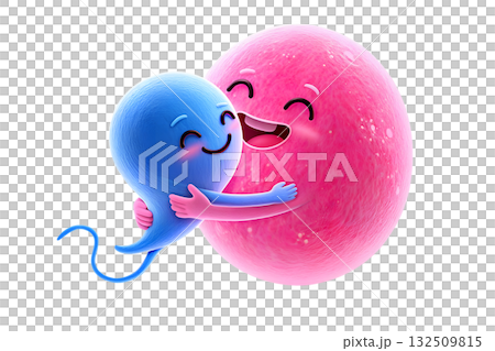 3d cartoon pink ovum and blue sperm cells hugging, depicting the beginning of life and the concept of fertilization, isolated on transparent background 132509815