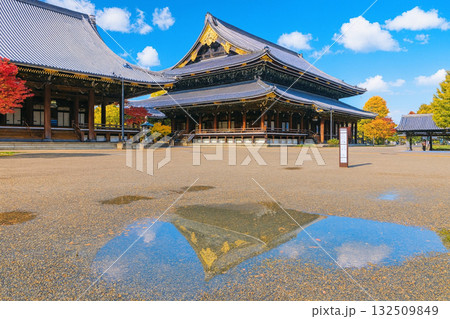 阿弥陀堂 東本願寺 紅葉 阿弥陀堂 東本願寺 紅葉 132509849
