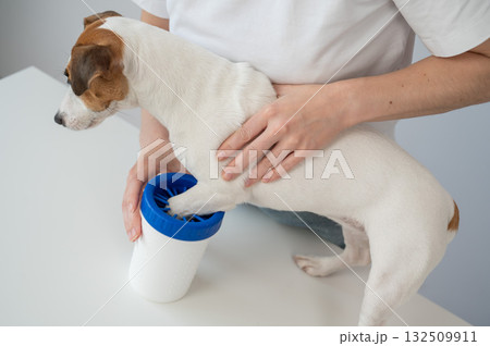The owner washes the dog's paws in a special device.  132509911