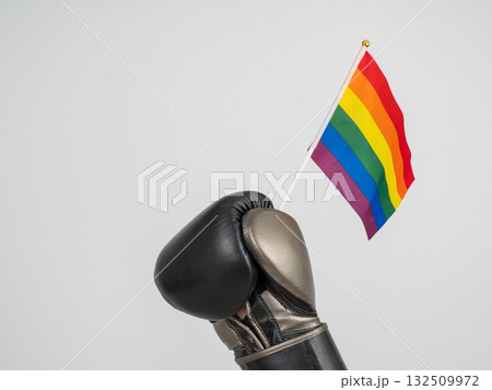 Rainbow flag in boxing gloves. Rainbow flag in boxing gloves. 132509972