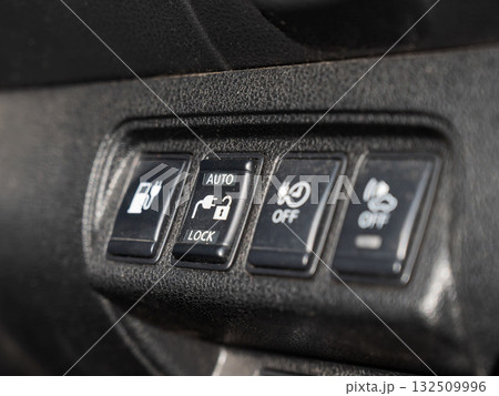 Buttons on the dashboard of an electric vehicle. Buttons on the dashboard of an electric vehicle. 132509996