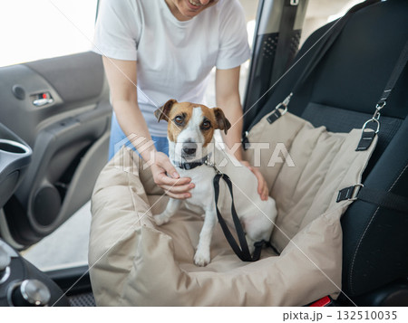 Caucasian woman travels by car with her dog. Jack Russell Terrier in a special car seat. Caucasian woman travels by car with her dog. Jack Russell Terrier in a special car seat. 132510035