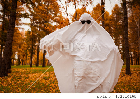 Woman in a ghost costume against the backdrop of an autumn forest. Halloween costume. Woman in a ghost costume against the backdrop of an autumn forest. Halloween costume. 132510169