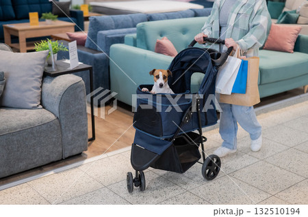 A Caucasian woman is shopping with her Jack Russell Terrier dog in a stroller in a shopping mall. 132510194
