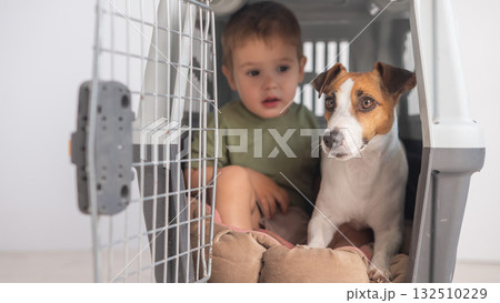 Little child in a cage with a Jack Russell Terrier dog. Little child in a cage with a Jack Russell Terrier dog. 132510229