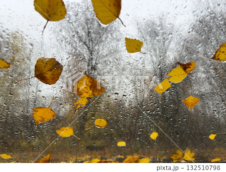 Autumn outside the window, wet glass and falling leaves 132510798