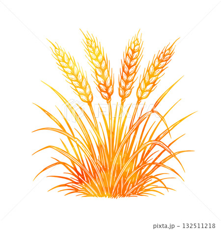 Yellow wheat object. Hand drawn. Not AI, vector illustration. Yellow wheat object. Hand drawn. Not AI, vector illustration. 132511218