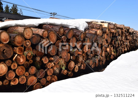 切り出された杉の丸太 降雪風景 132511224