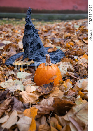 Black witch hat and orange pumpkin lie among fallen autumn leaves, symbolizing the essence of Halloween with warm seasonal colors Black witch hat and orange pumpkin lie among fallen autumn leaves, symbolizing the essence of Halloween with warm seasonal colors 132511299