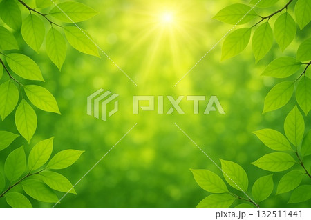 新緑　若葉　環境・エコイメージ　フォトリアル 132511441