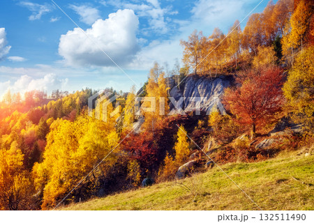 Majestic autumn landscape 132511490