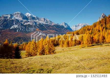 Great autumn scenery with magical yellow larches. Location place Dolomiti Alps, Italy, Europe. Great autumn scenery with magical yellow larches. Location place Dolomiti Alps, Italy, Europe. 132511493