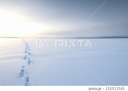 静寂の雪景色 人の気配が消えた冬の記憶と温もりの痕跡 静寂の雪景色 人の気配が消えた冬の記憶と温もりの痕跡 132511581
