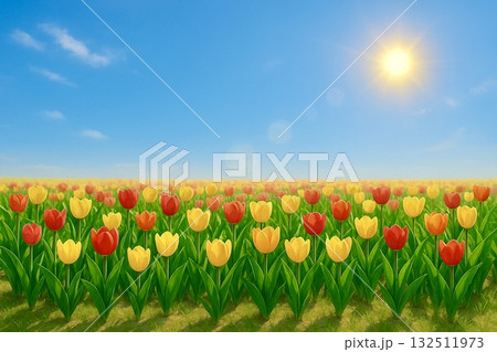 チューリップ畑　青空　フォトリアル 132511973