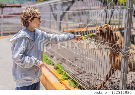 Young boy feeding a goat on a farm, enjoying animal interaction, nature, and learning responsibility. Wholesome childhood and outdoor activity concept Young boy feeding a goat on a farm, enjoying animal interaction, nature, and learning responsibility. Wholesome childhood and outdoor activity concept 132511980