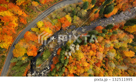 Aerial view of the road in the middle of the colorful autumn forest. Beautiful beech and spruce forest. Aerial view of the road in the middle of the colorful autumn forest. Beautiful beech and spruce forest. 132511995