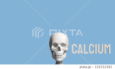 The Skeleton on blue Background for calcium concept 3d Rendering. 132512381